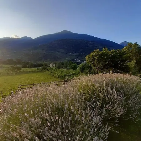 Ca' Dottori Daire