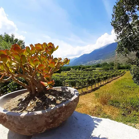 Ca' Dottori شقة Albosaggia